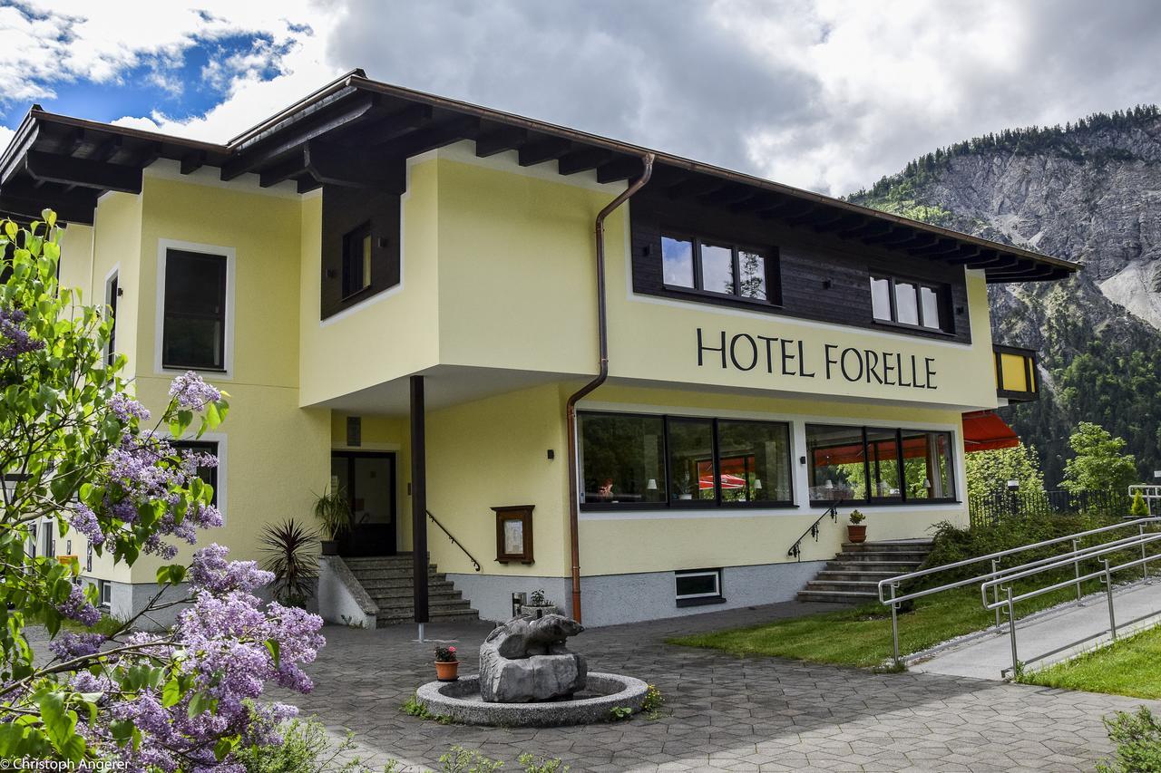 Hotel Forelle 4*