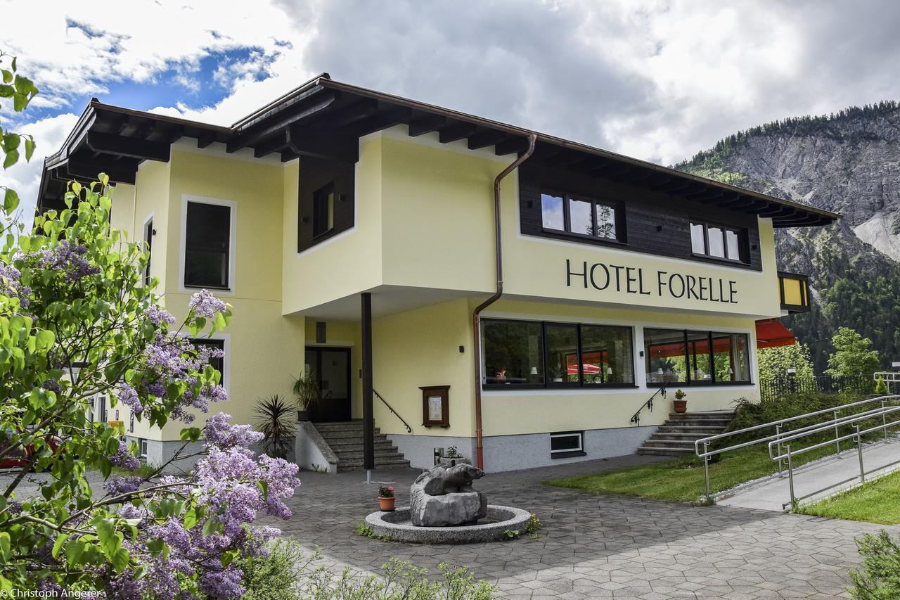 Hotel Forelle 4*